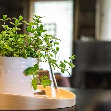 Appartement In Lapland - Riekkopolku 2 B Levi