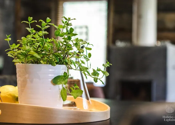 公寓 In Lapland - Riekkopolku 2 B 列维